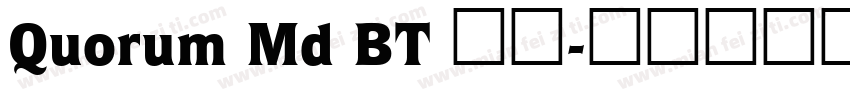 Quorum Md BT 常规字体转换